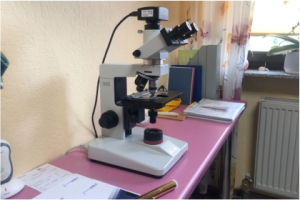 Mikroskop für Blutuntersuchung Andrea Stromereder Heilpraktikerin